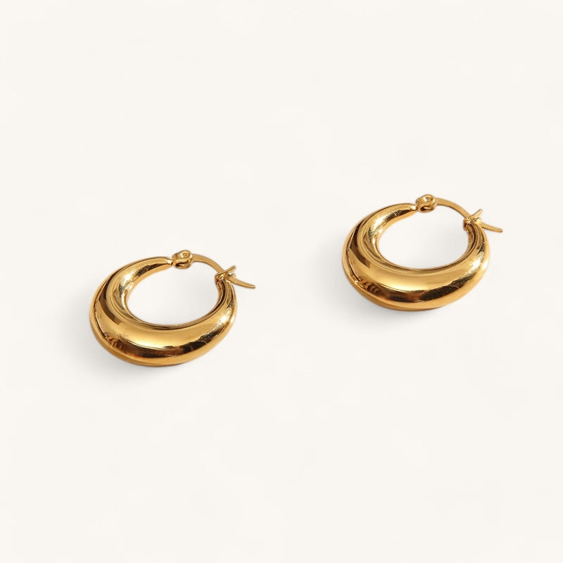 The harp hoop earrings